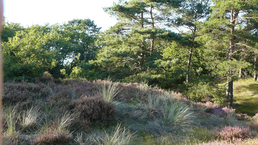 't Kasteeltje Villa Bergen Buitenkant foto