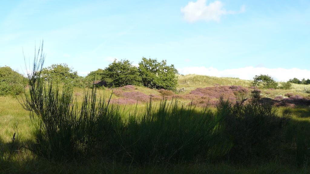 't Kasteeltje Villa Bergen Buitenkant foto